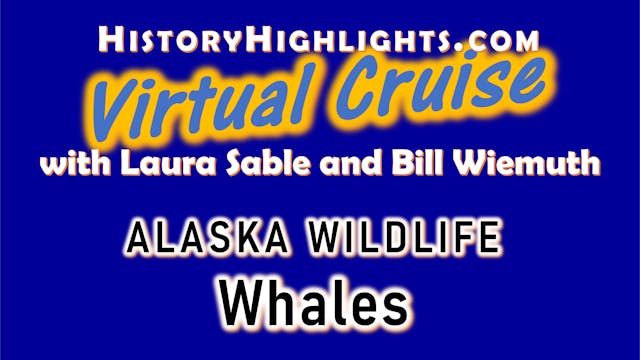 AK Wildlife-Whales