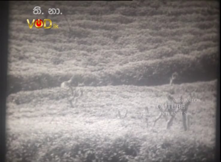 Anagathe Ran Wan - Song