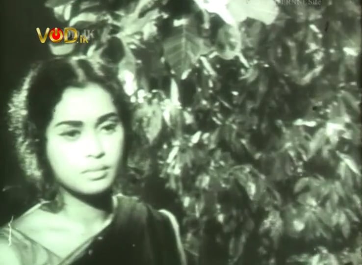 Kauda Raja Song 07