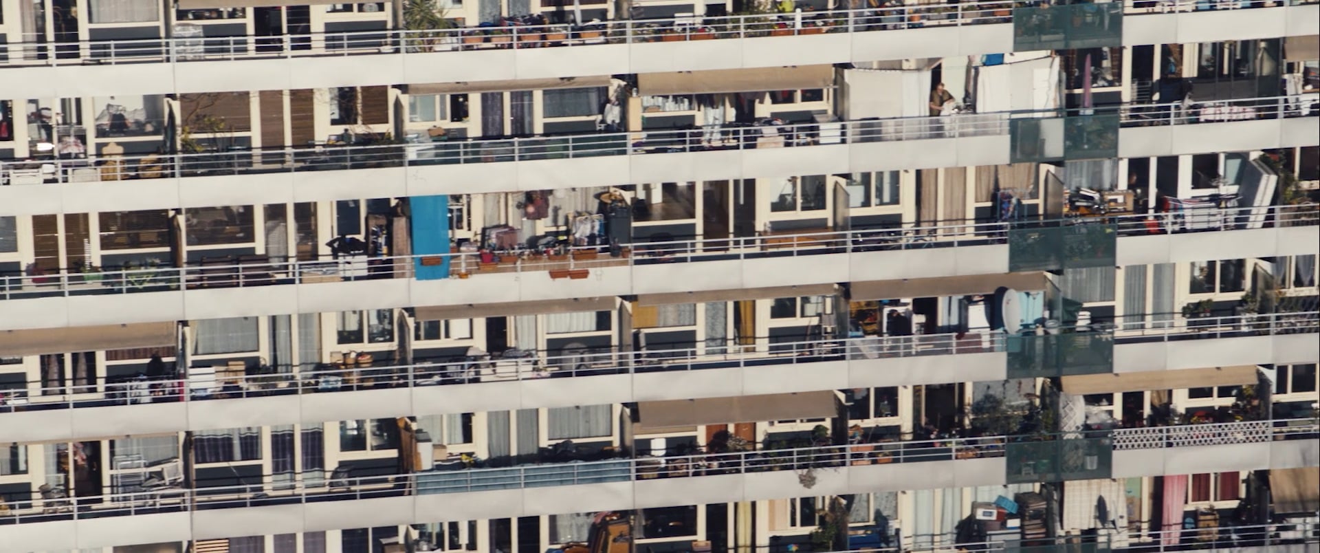 MANIFESTO - ABDENOURE ZIANE 