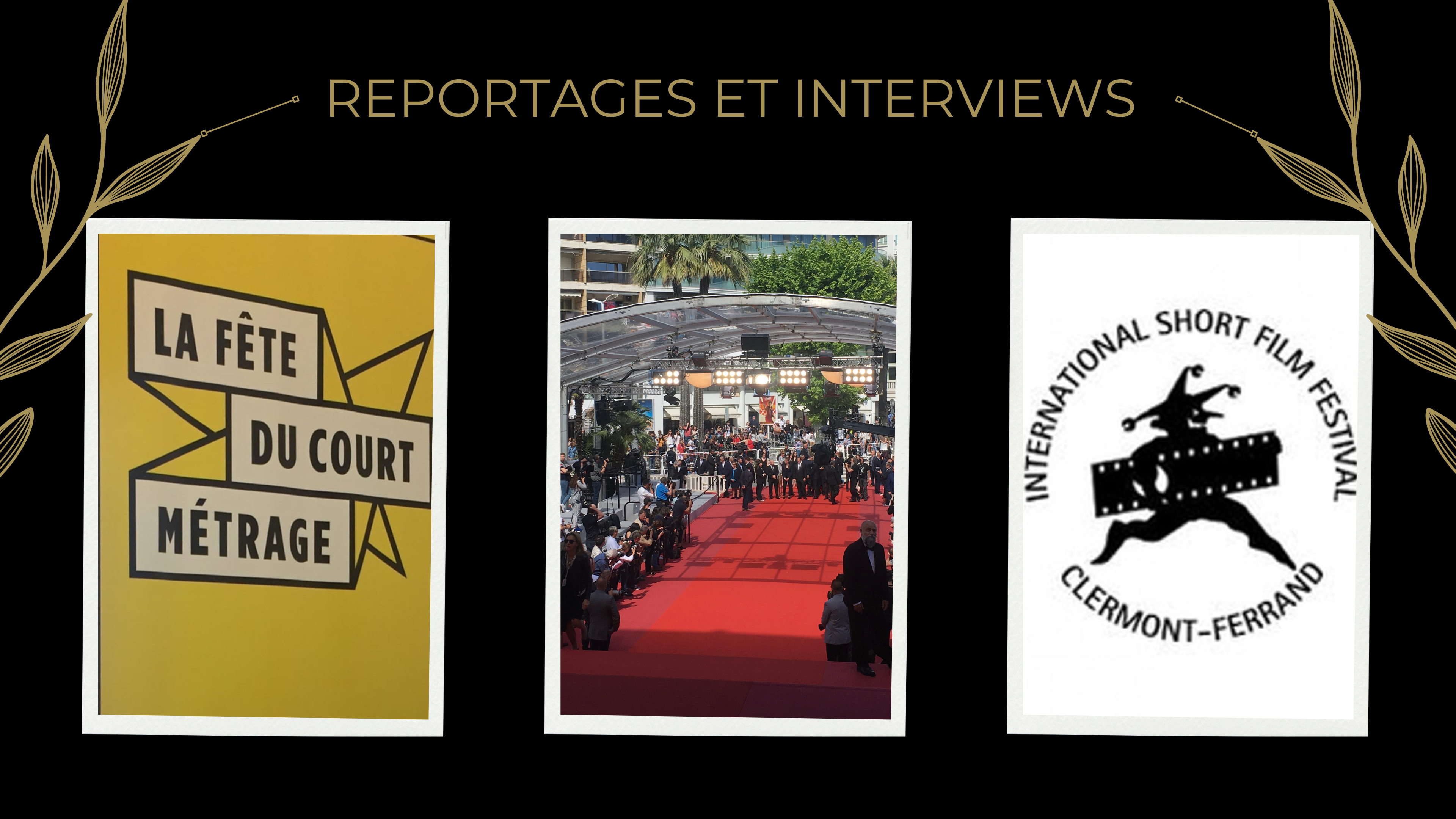REPORTAGES ET INTERVIEWS