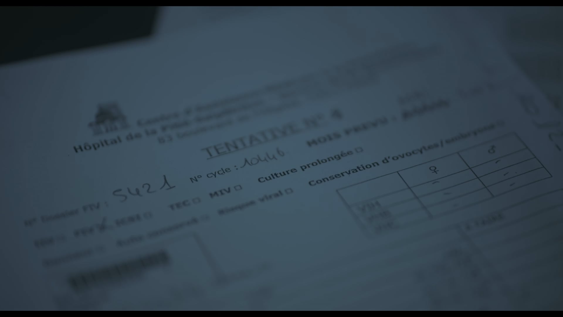 PRÉCIEUSE -  Guillaume Bourg ( Audiodescription )