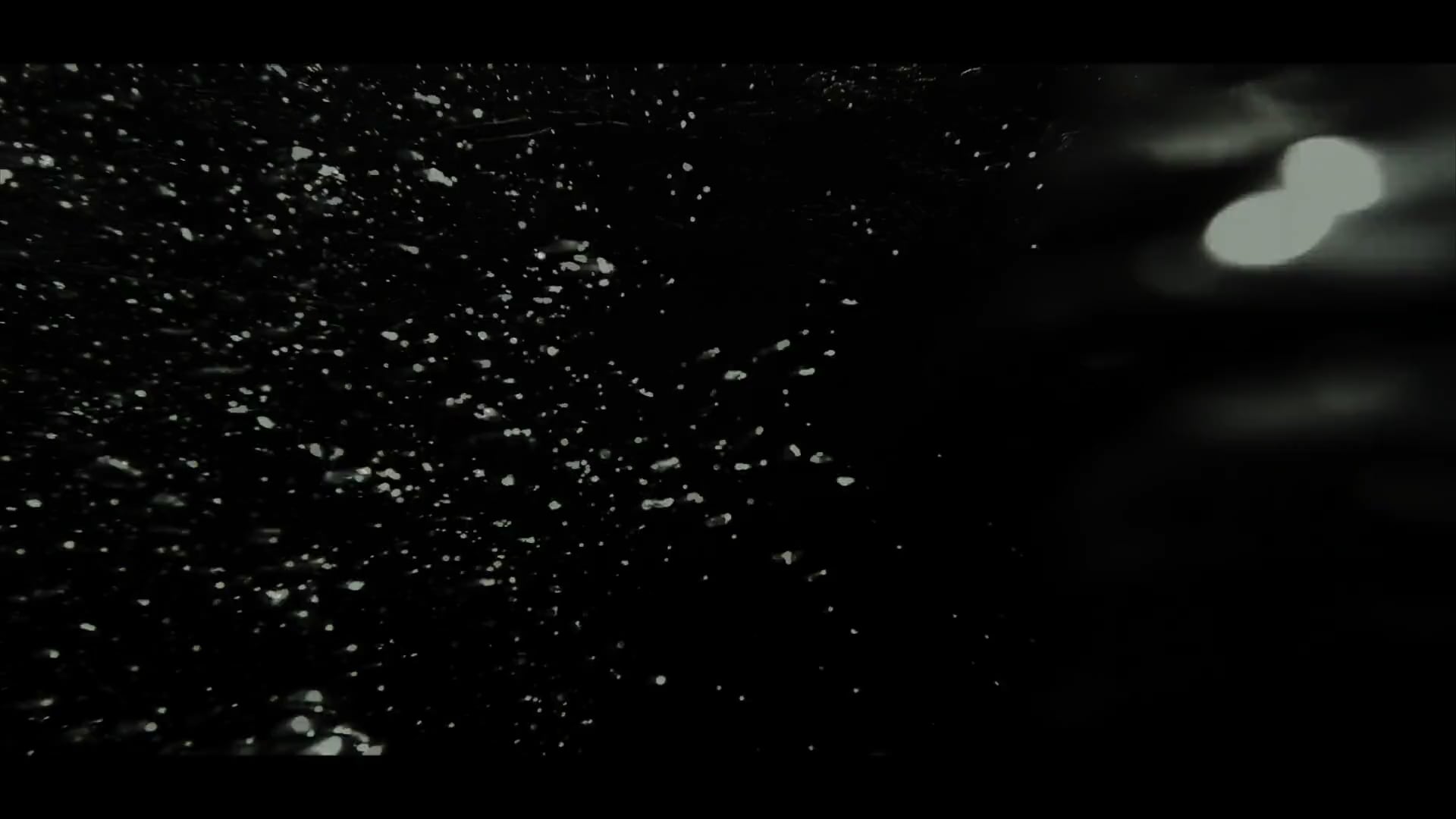 MAREGRAVE - JUSTINE CAPPELLE