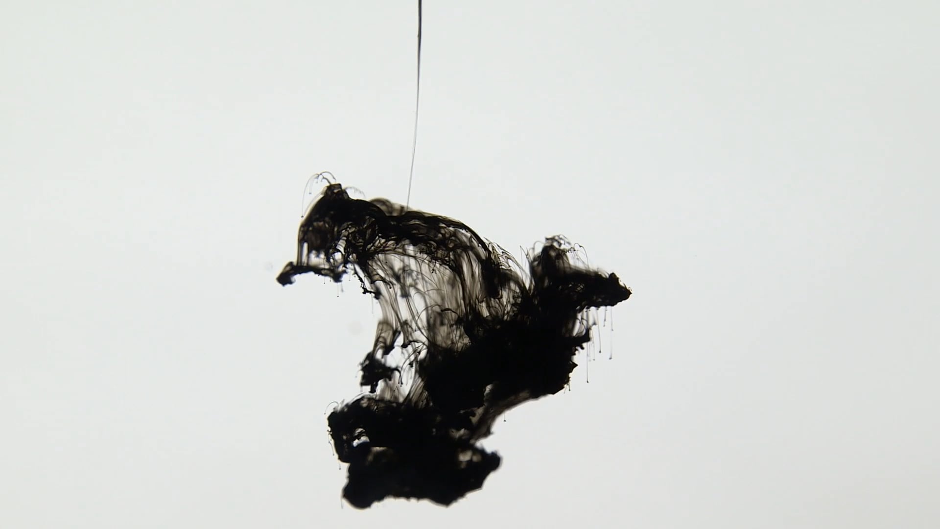 DE L'ENCRE SOUS LA PEAU de Suzanne Chupin