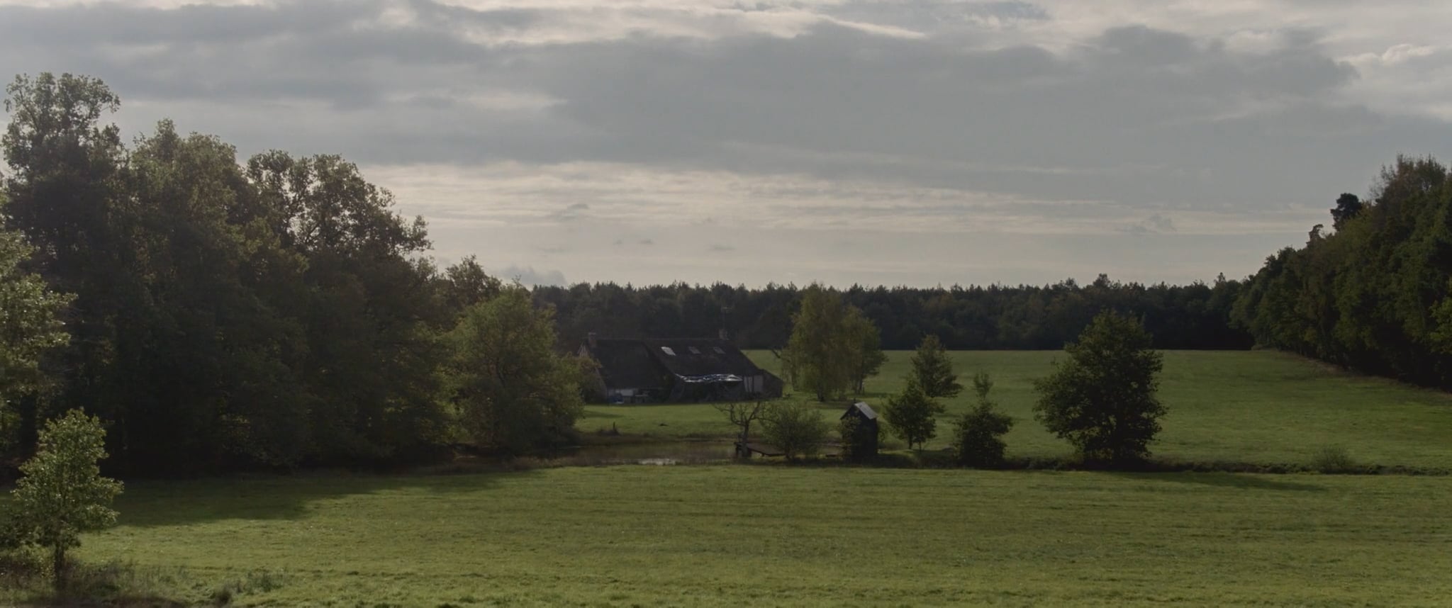 PLEINE CAMPAGNE (COUNTRYSIDE) - Pierre Mouchet