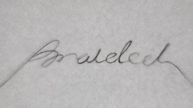 BRAIDED -  Chenxi Zhang