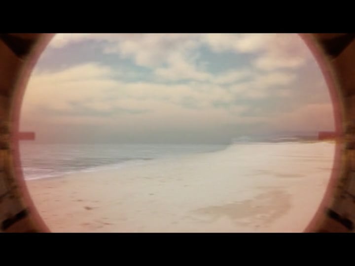 FLEUR BLEUE - THOMAS GUERIGUEN