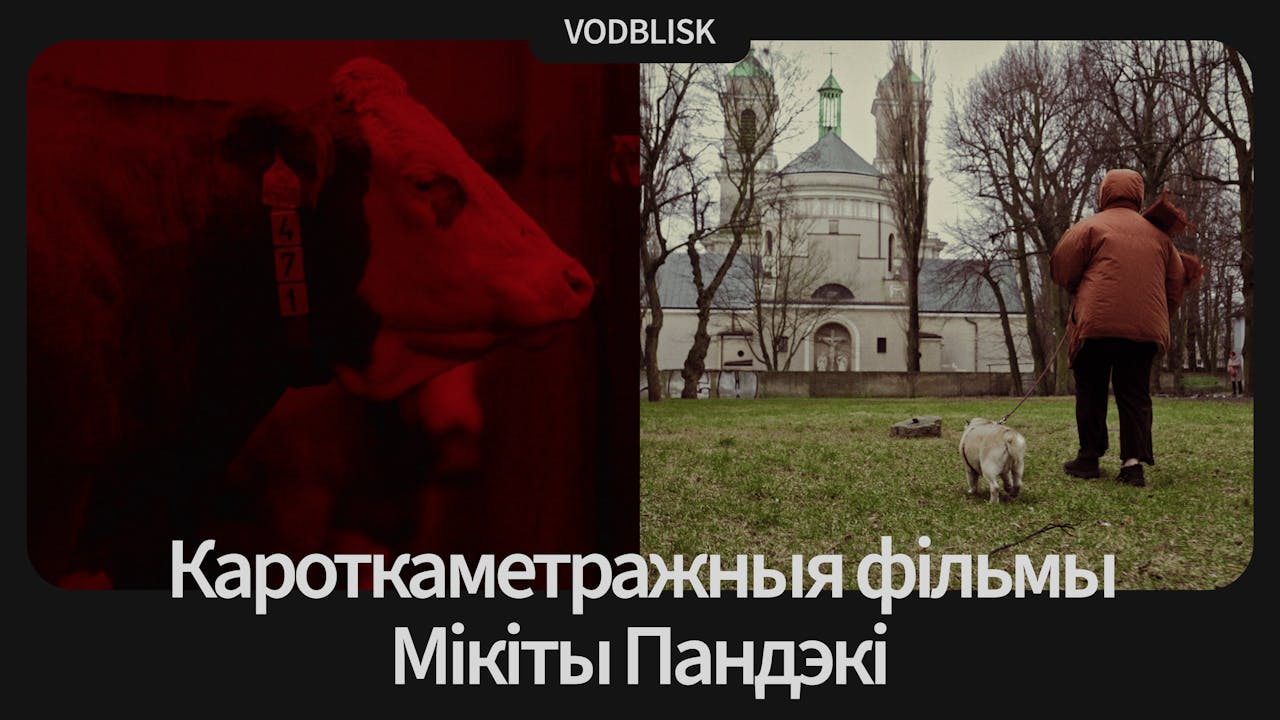Кароткаметражныя фільмы Мікіты Пандэкі 