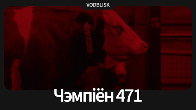 Чэмпіён 471 | Champion 471