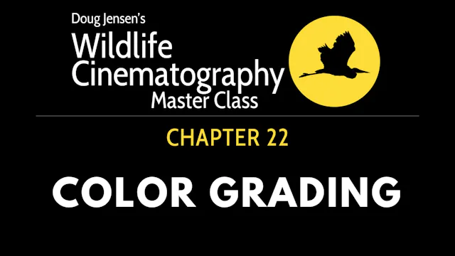 WILDLIFE CHAPTER 22:  COLOR GRADING IN RESOLVE