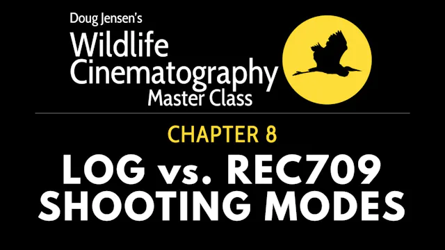 WILDLIFE CHAPTER 8:  LOG vs. REC709 SHOOTING MODES