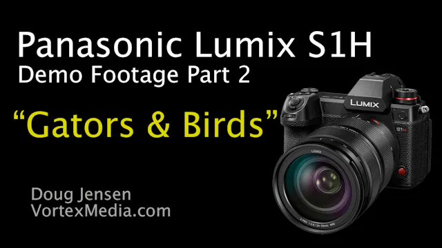 Panasonic Lumix S1H Demo Footage Part 2 - Gators & Birds in 4K