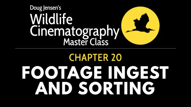 WILDLIFE CHAPTER 20:  FOOTAGE INGEST AND SORTING