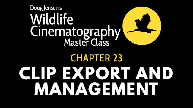 WILDLIFE CHAPTER 23:  CLIP EXPORT AND MANAGEMENT