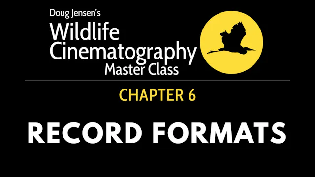 WILDLIFE CHAPTER 6:  RECORD FORMATS