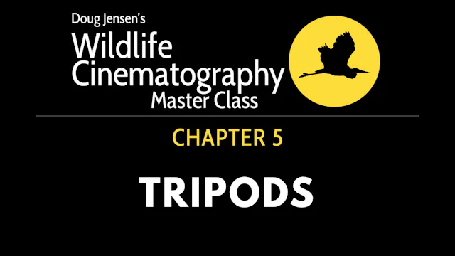 WILDLIFE CHAPTER 5:  TRIPODS