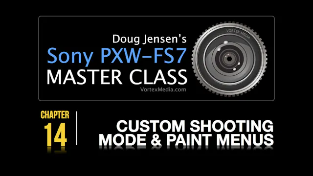 CUSTOM SHOOTING MODE AND PAINT MENUS
