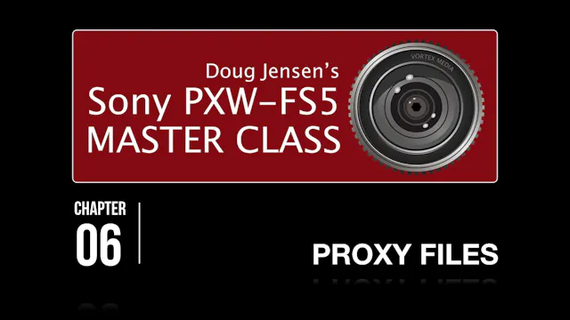 FS5 - PROXY FILES