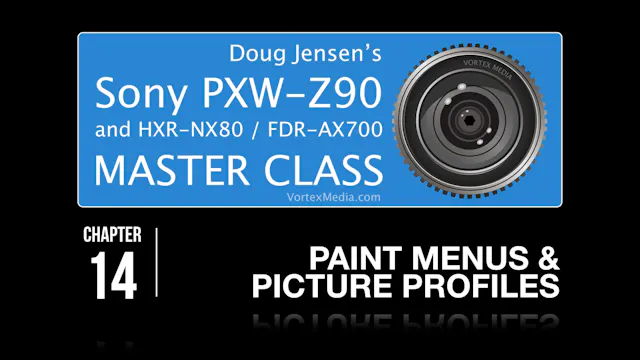 SONY Z90 - PAINT MENUS & PICTURE PROFILES