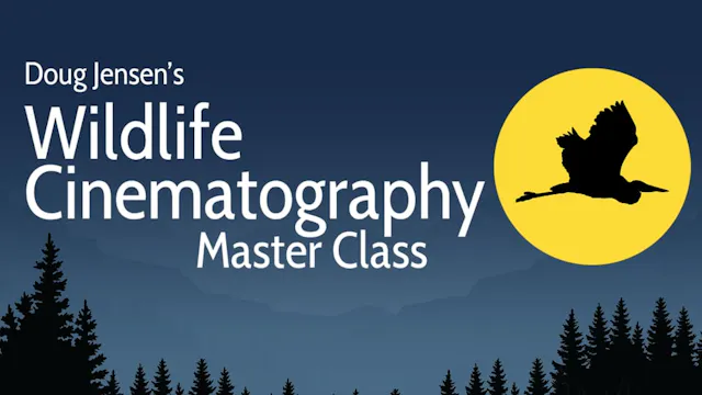 WILDLIFE CHAPTER 1:  INTRODUCTION