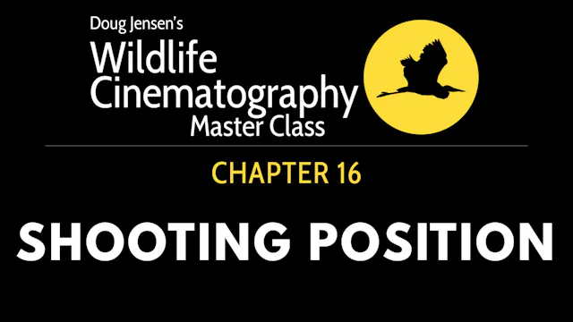 WILDLIFE CHAPTER 16:  SHOOTING POSITION