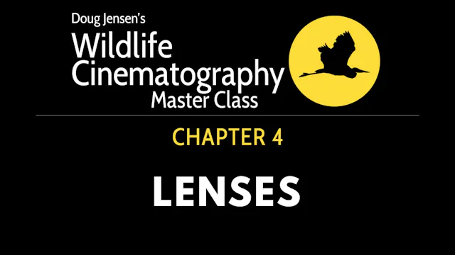 WILDLIFE CHAPTER 4:  LENSES