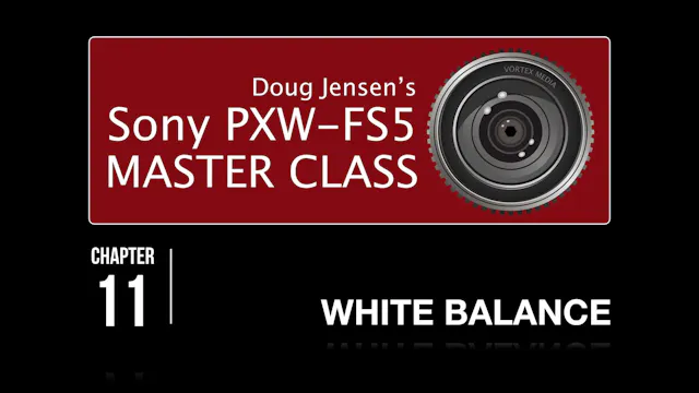 FS5 - WHITE BALANCE