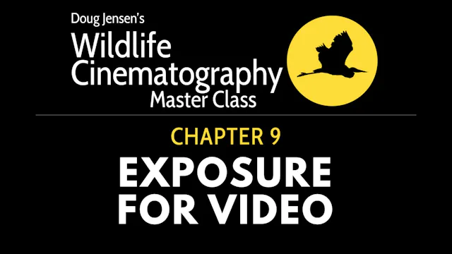 WILDLIFE CHAPTER 9:  EXPOSURE FOR VIDEO