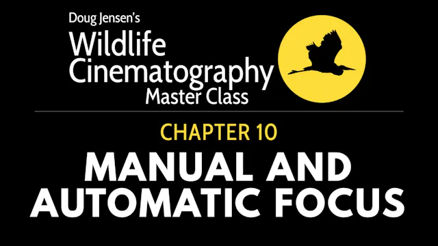 WILDLIFE CHAPTER 10:  MANUAL AND AUTOMATIC FOCUS