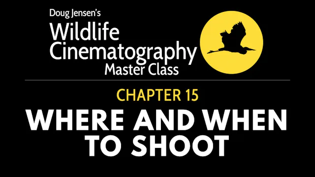 WILDLIFE CHAPTER 15:  WHERE AND WHEN TO SHOOT