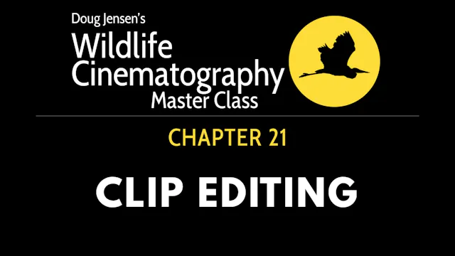 WILDLIFE CHAPTER 21:  CLIP EDITING