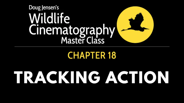 WILDLIFE CHAPTER 18:  TRACKING ACTION