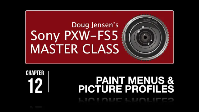 FS5 - PAINT MENUS & PICTURE PROFILES