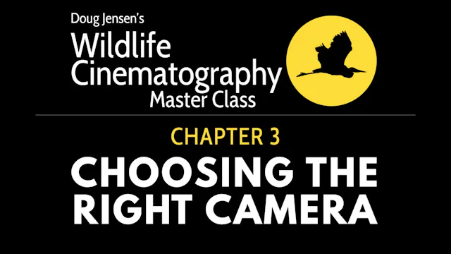 WILDLIFE CHAPTER 3:  CHOOSING THE RIGHT CAMERA