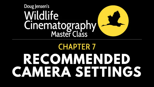 WILDLIFE CHAPTER 7:  RECOMMENDED CAMERA SETTINGS