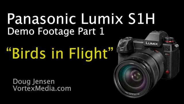 Panasonic Lumix S1H Demo Footage Part 1 - Birds in Flight