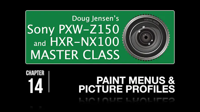 SONY Z150 & NX100 - PAINT MENUS & PICTURE PROFILES