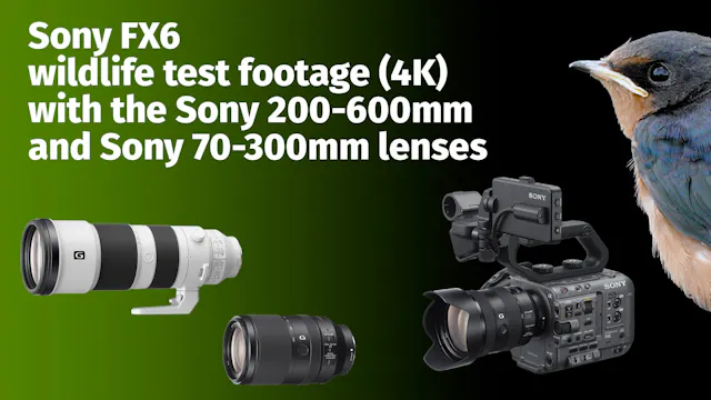 Sony FX6: Wildlife test footage with 200-600mm and 70-300mm lenses (4K)