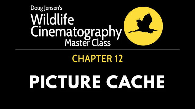 WILDLIFE CHAPTER 12:  PICTURE CACHE