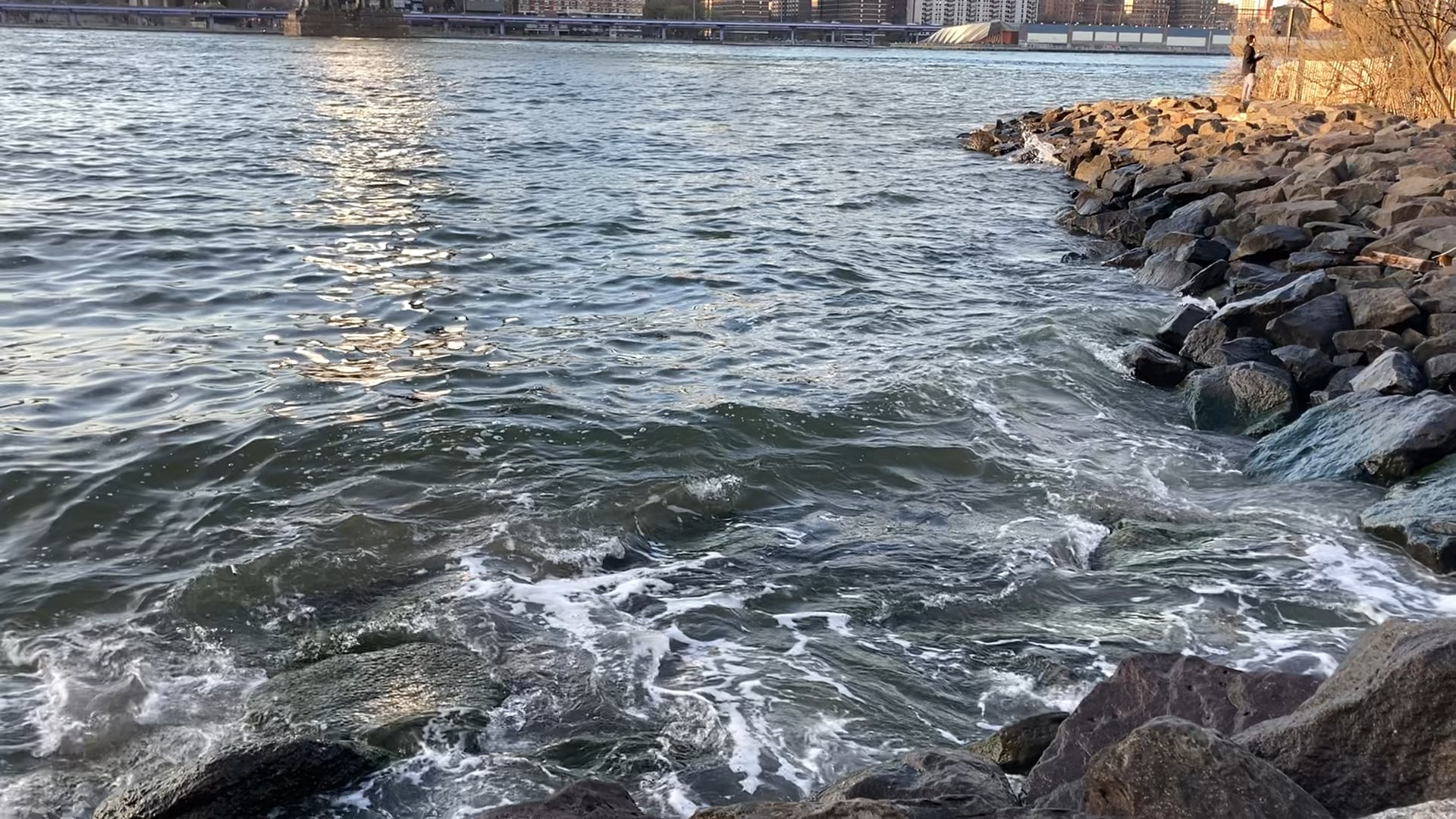 Brooklyn waves, with publish date