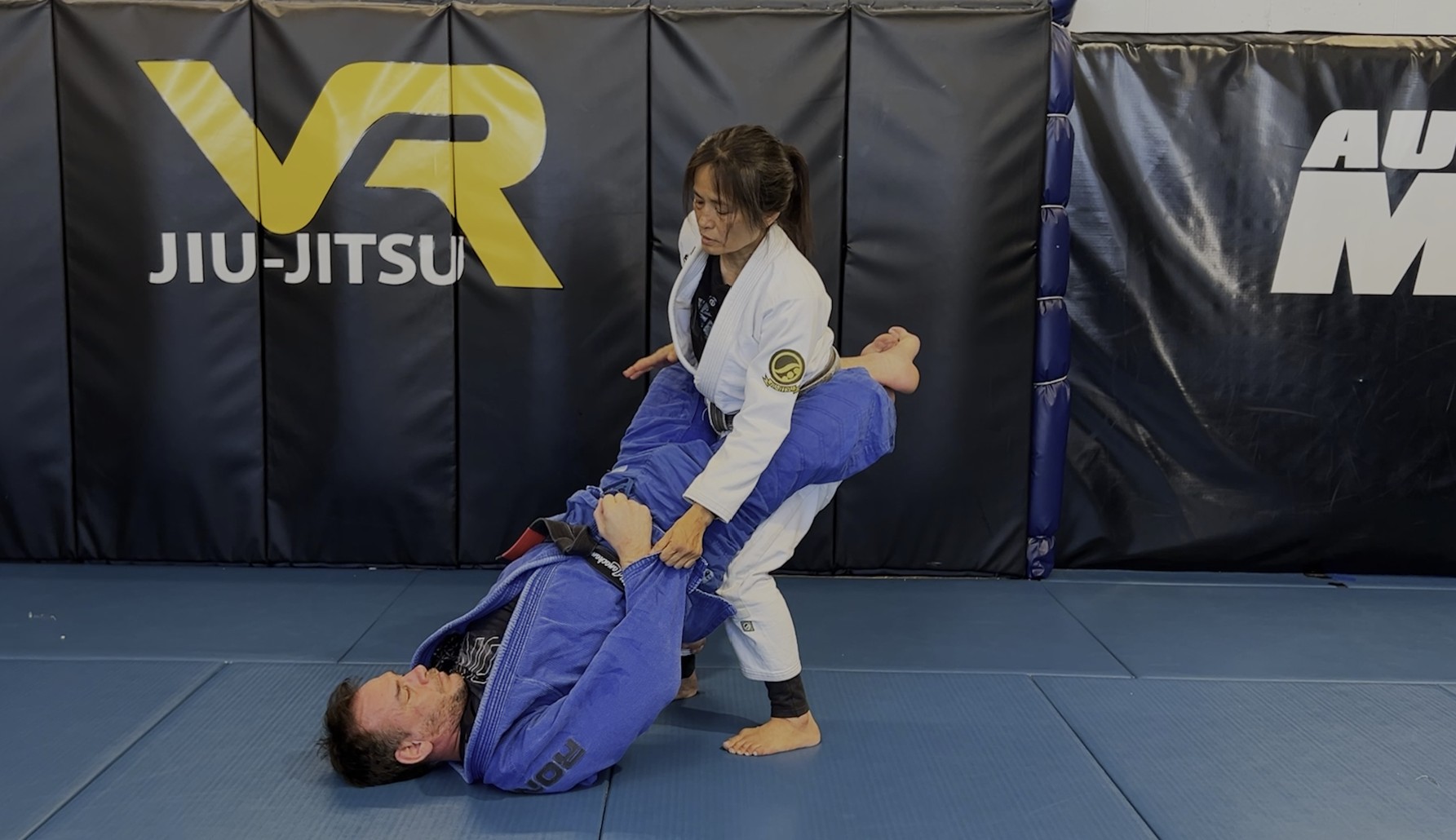 VR Jiu-Jitsu Online Video