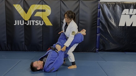 VR Jiu-Jitsu Online Video
