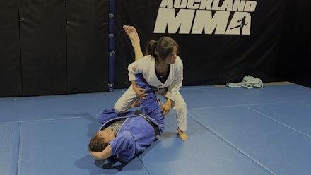 VR Jiu-Jitsu Online Video