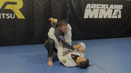 VR Jiu-Jitsu Online Video