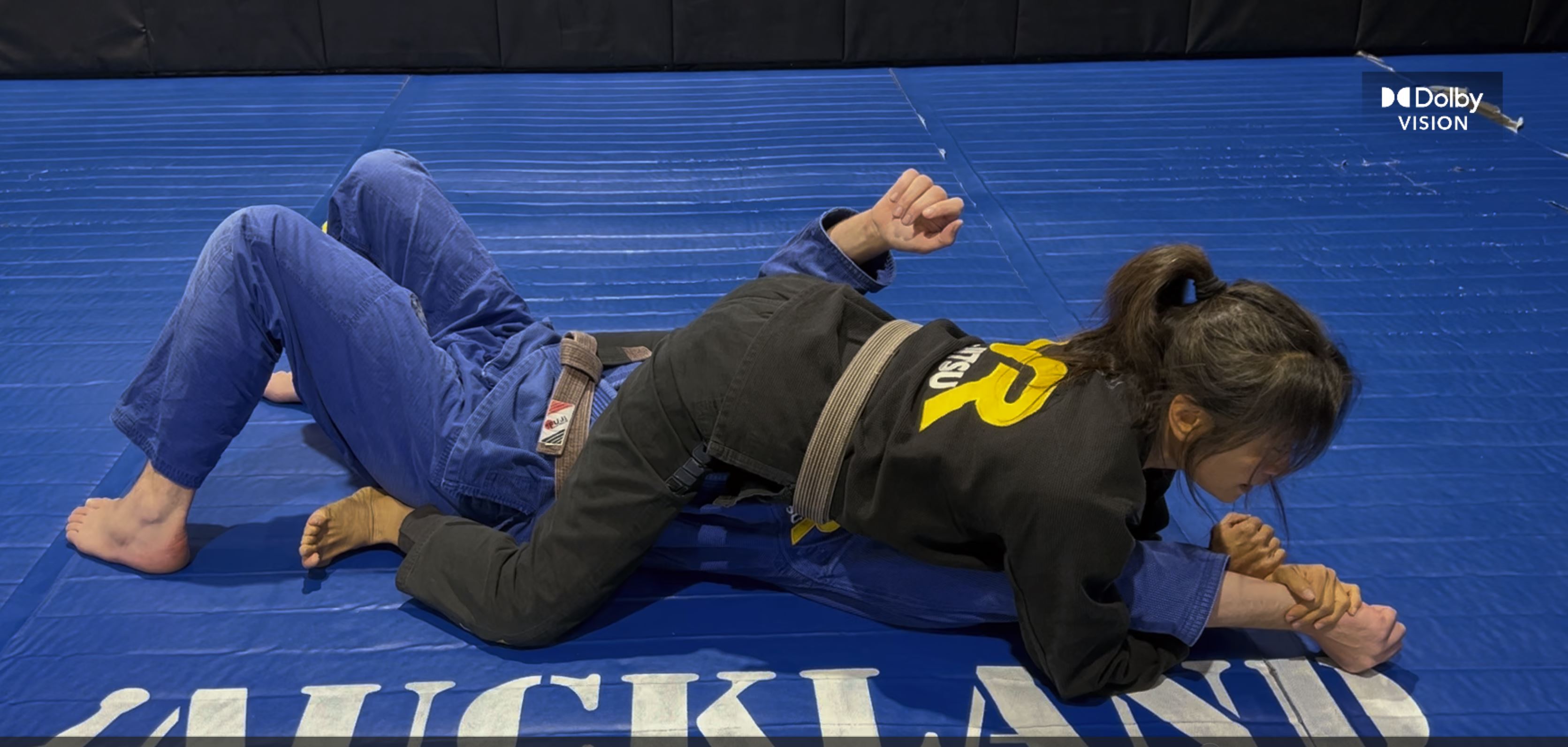 Americana and Cutting Armlock from Mount