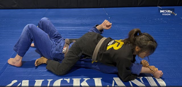 Americana and Cutting Armlock from Mount