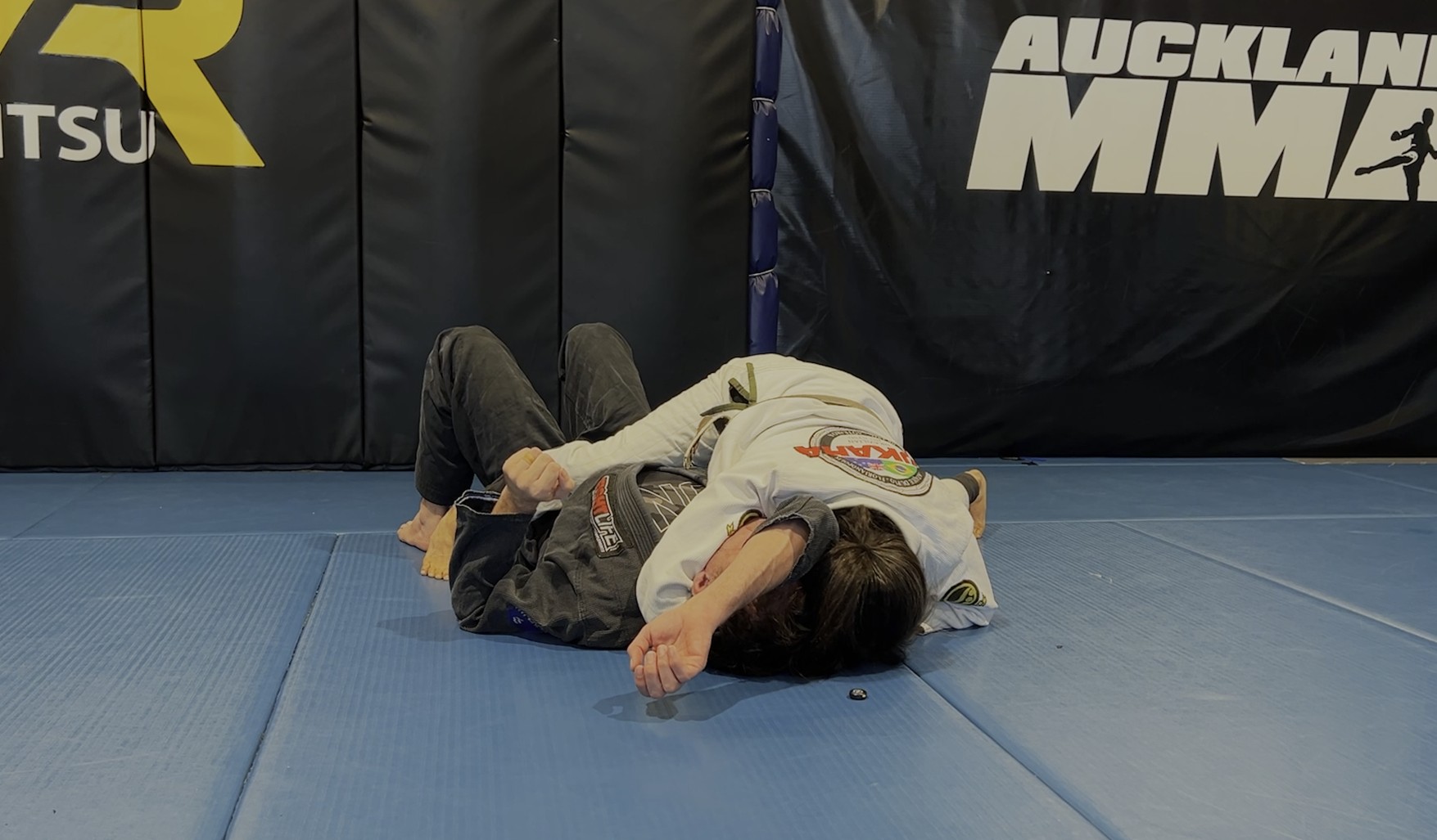 VR Jiu-Jitsu Online Video