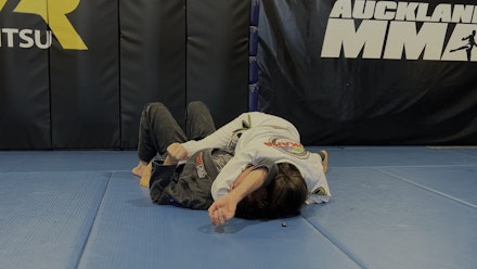 VR Jiu-Jitsu Online Video