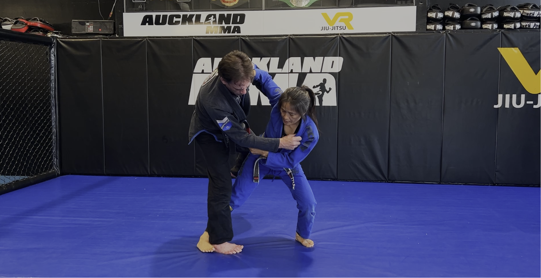 VR Jiu-Jitsu Online Video