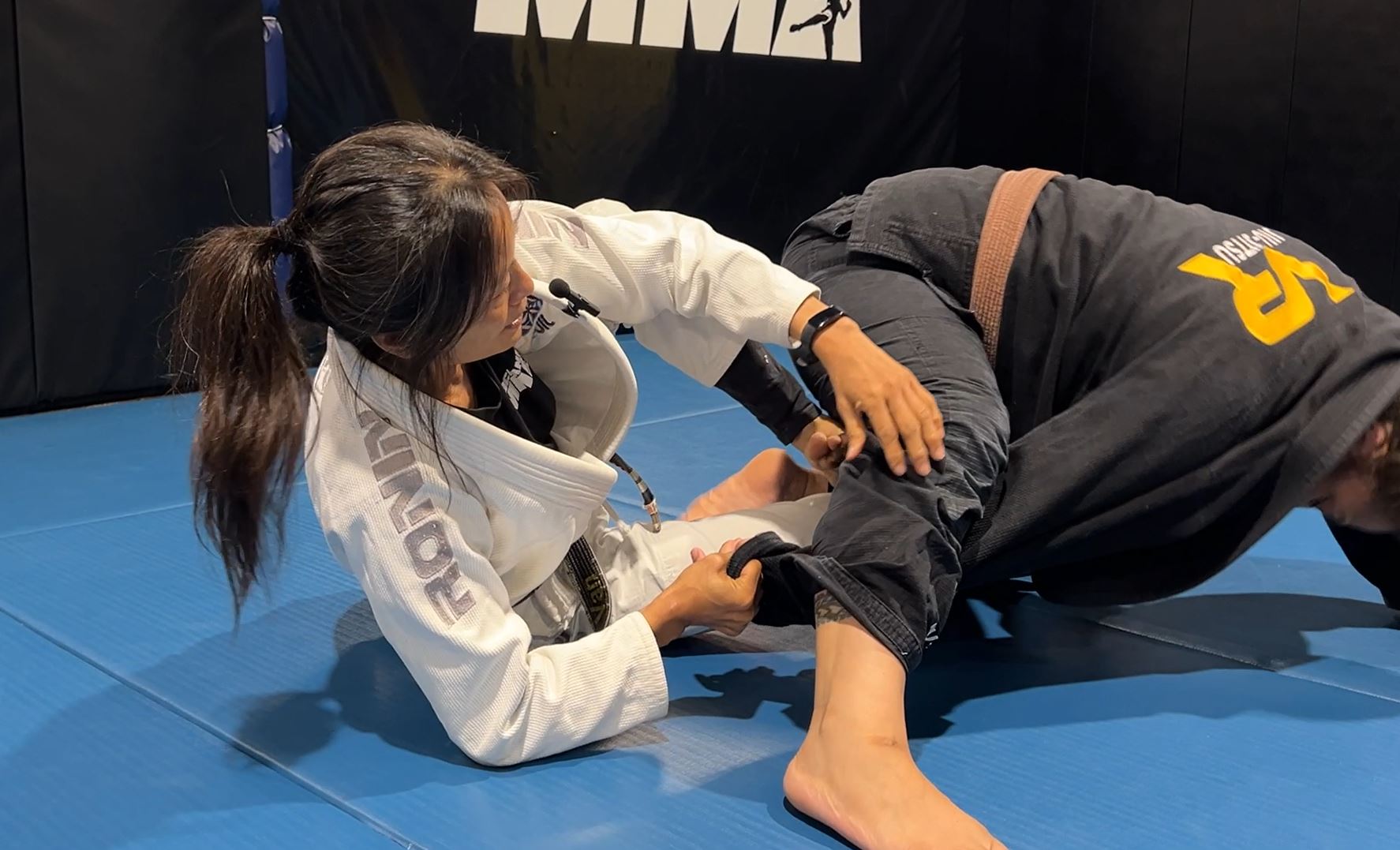 Collar and Sleeve Drag from Butterfly Guard to Flip Over Sweep